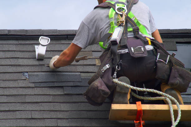 Best Roof Gutter Cleaning  in Carnot Moon, PA