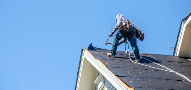 Roof Gutter Cleaning in Carnot Moon, PA